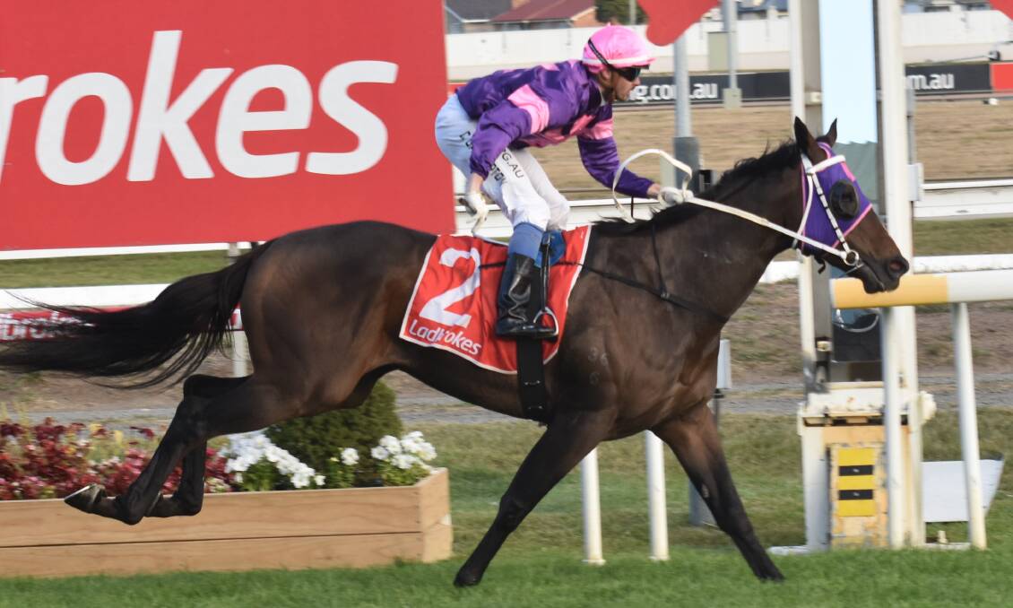 Military Law could represent some value when he resumes in the first race at Mowbray on Sunday.