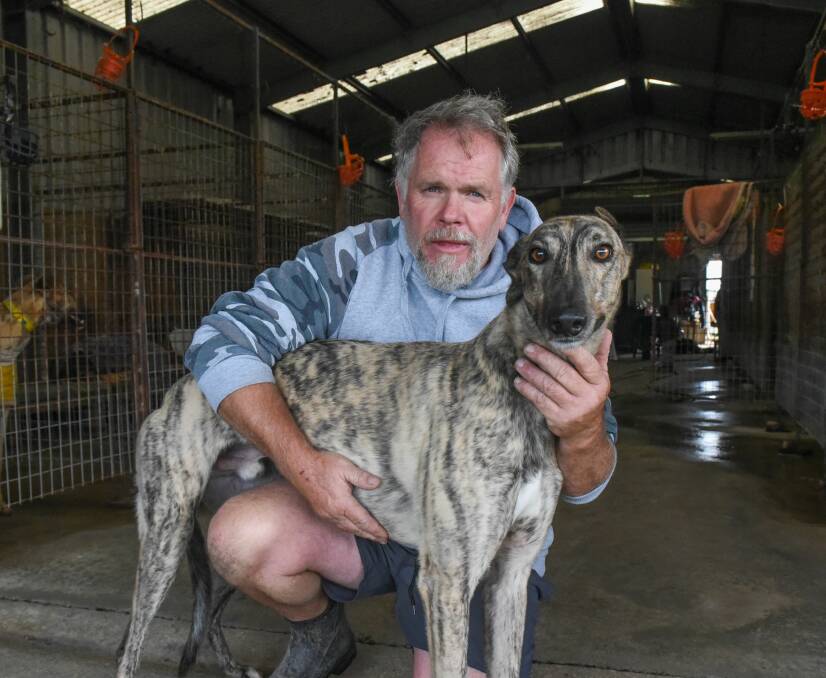 WAITING GAME: Leading trainer Anthony Bullock says Tasmanians should expect to see smaller greyhound meetings with fewer runners for some time to come. Picture: Paul Scambler