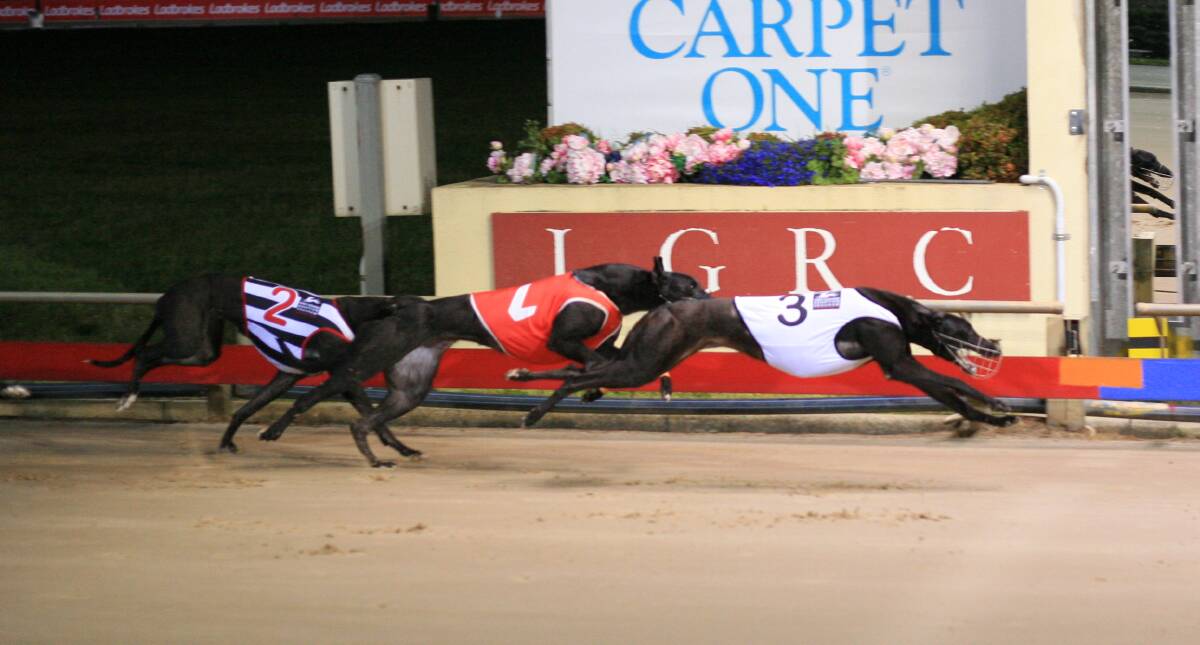 Just May Be wins the Launceston Breeders Classic final at Mowbray on Monday night