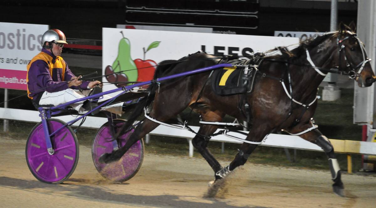 WELL PLACED: This year's Devonport Cup winner Illegal Immigrant and driver Troy Hillier should be hard to hold out in the main race at Mowbray on Sunday night. Picture: Greg Mansfield