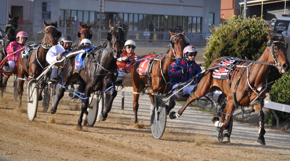 ALL SYSTEMS GO: The Ben Yole-trained Coveffe Hustler, driven by his brother Mark, leads a race at Devonport earlier in the season. Yole has about 70 horses ready to go when harness racing resumes on Sunday week. Picture: Greg Mansfield