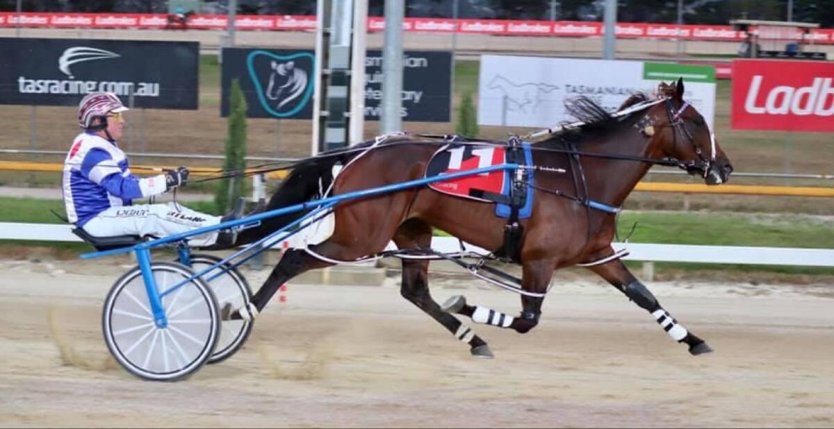 EASTER CUP TARGET: Our Princess Tiffany, driven by Anthony Butt, cruises to victory in the $20,000 George Johnson in Hobart on Saturday night. Picture: Tasmanian Trotting Club