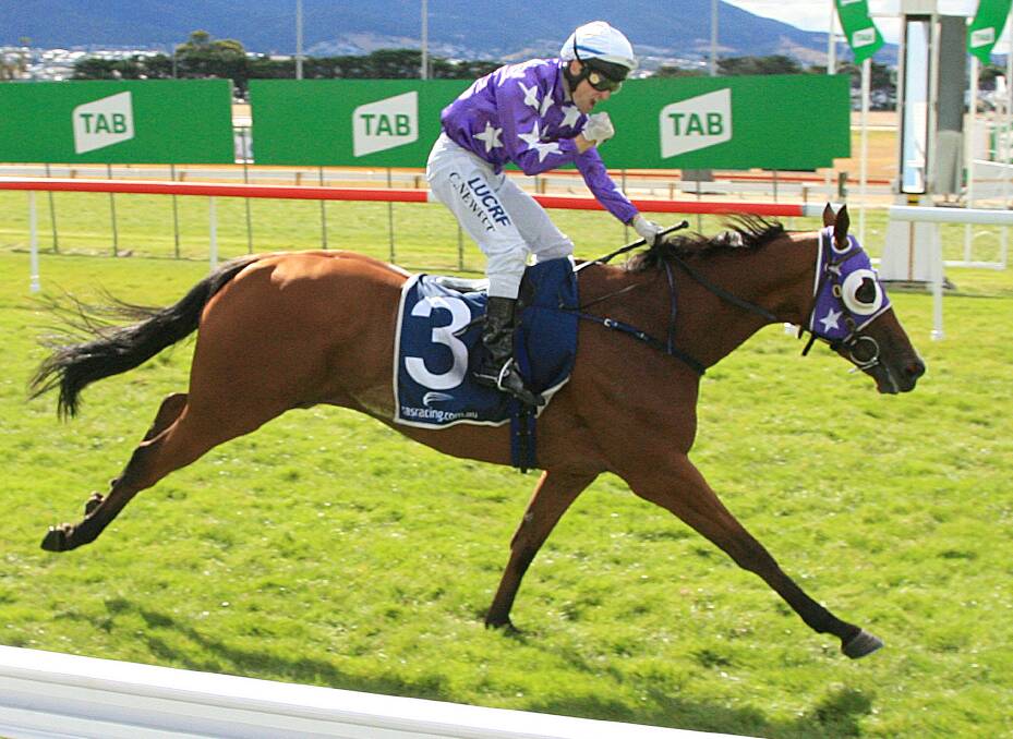TOO GOOD: Top jockey Craig Newitt shows his elation as he wins the Hobart Cup on Spreyton-trained stayer Eastender at Elwick on Sunday. Picture: Bill Hayes 