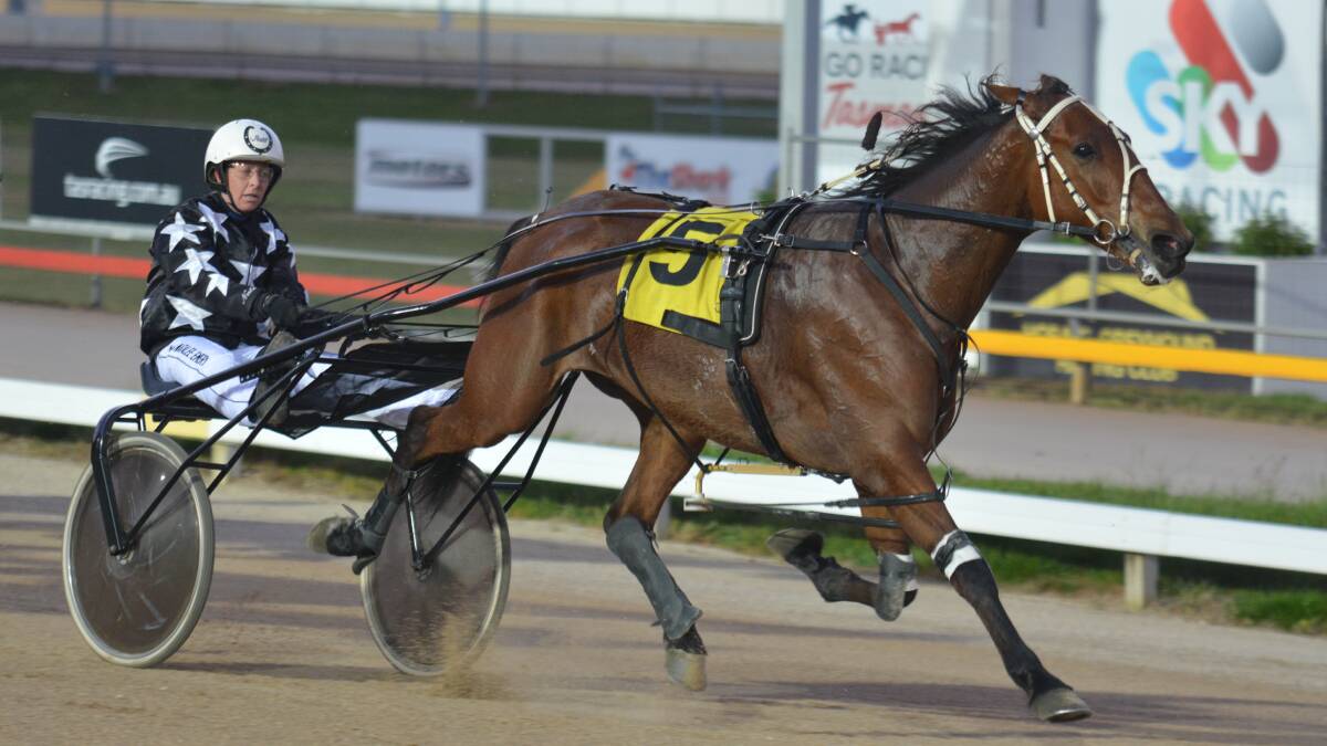 MAKING A CASE: Ten Caisses, driven by Natalee Emery, wins in Hobart on Friday night. The former South Australian has been the best-performed horse since trotting races were reintroduced in Tasmania in July. 
