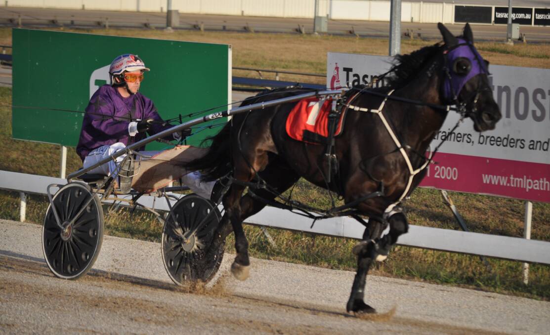 WORK OF ART: Favourite Art Frenzy, driven by Mark Yole, cruises to victory in the second heat of the Harry Holgate Memorial at Mowbray on Friday night. Picture: Greg Mansfield