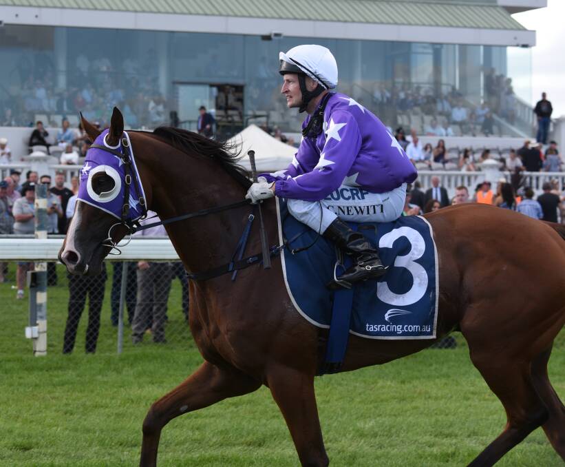 TASSIE'S HOPE: Eastender and jockey Craig Newitt will be out to continue their winning streak in the $400,000 Adelaide Cup. Picture: Paul Scambler