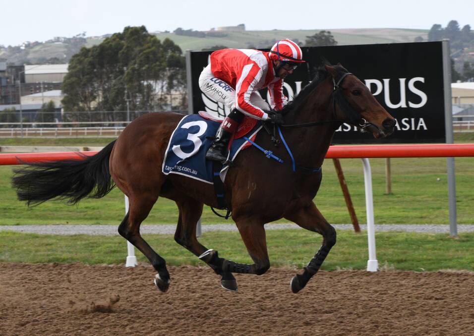 MAGNIFICENT: The John Blacker-trained Magnasa, ridden by Bulent Muhcu, scores a runaway win at Spreyton on Sunday. Picture: Stacey Lear