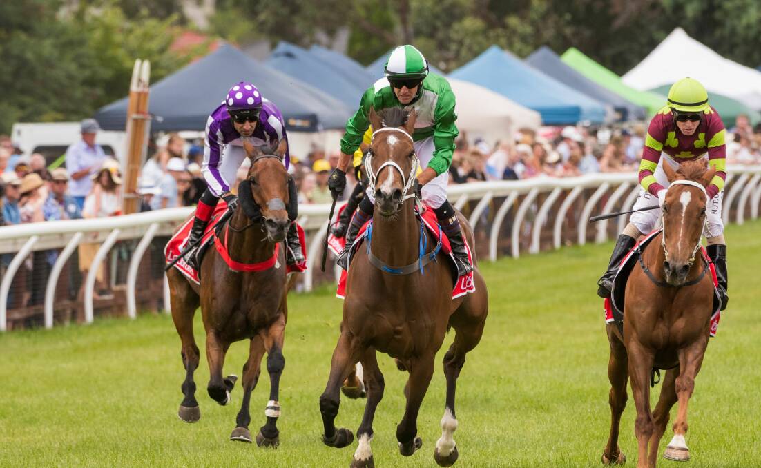 FIRST STEP: Triple Strip (centre), ridden by Bulent Muhcu, wins Wednesday's Longford Cup, with the Devonport and Hobart Cups now beckoning. Picture: Phillip Biggs