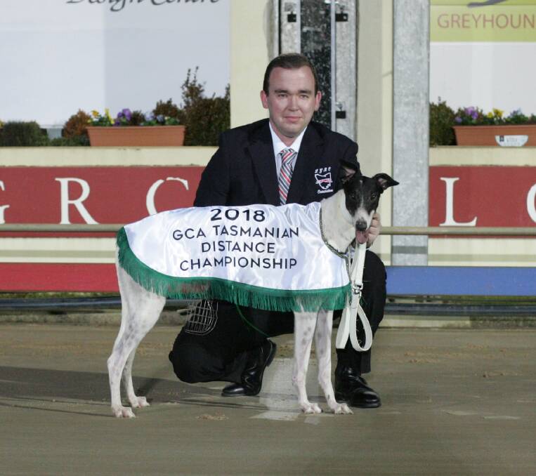 DEVIL OF A WIN: Wynburn Lucifer with Brennan Ryan of the LGRC after her upset win in the state final of the National Distance Championship at Mowbray on Thursday night.