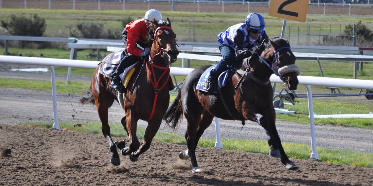 DOUBLE: Trainer Yassy Nishitani rides Off Peak in a trial at Spreyton last month. The mare was a $26 winner on Sunday. Picture: Greg Mansfield