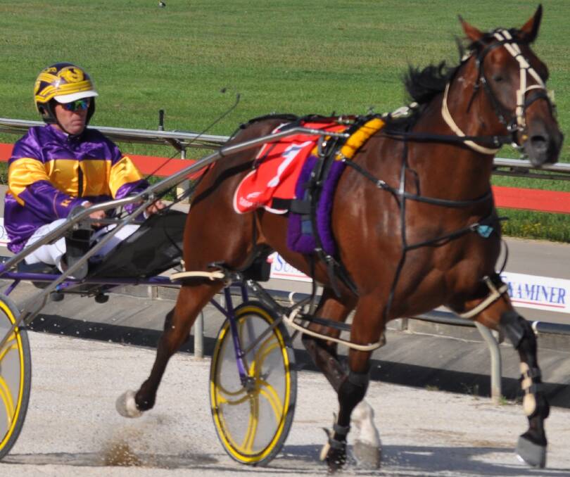 HE'S BACK: Star pacer Ryley Major made a successful return to racing at Mowbray on Sunday night after 32 months on the sidelines. Picture: Greg Mansfield