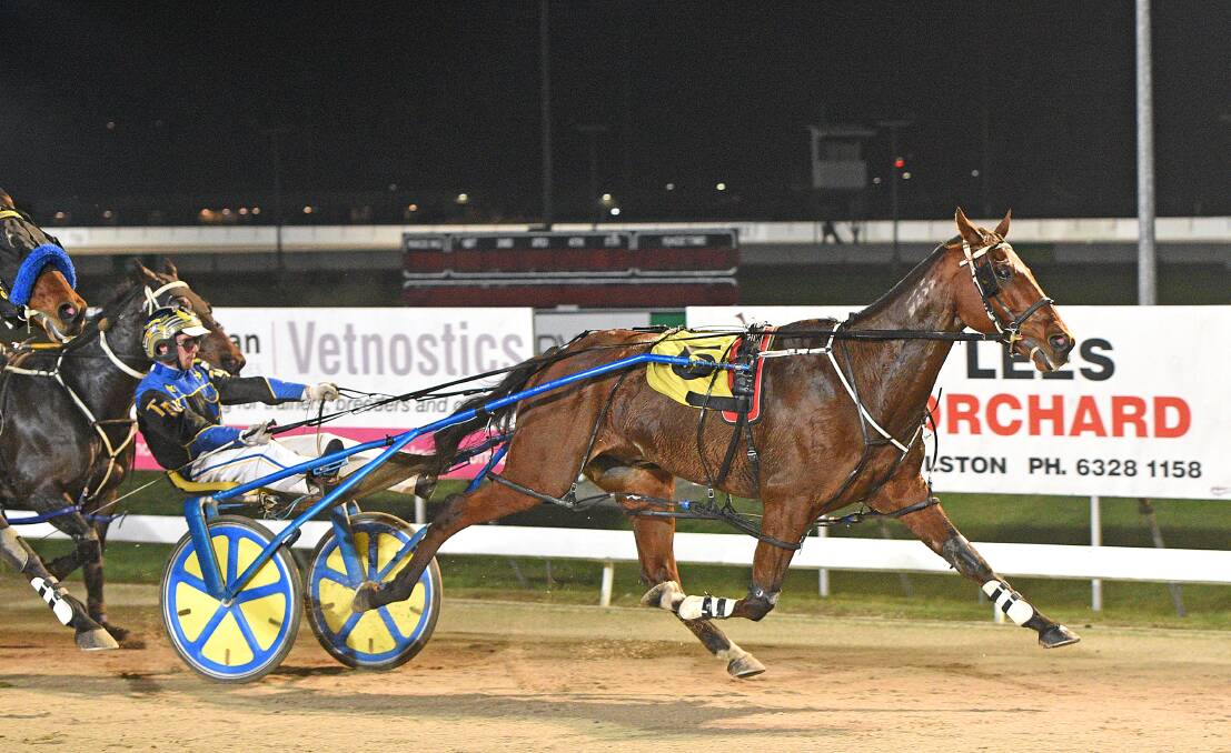RECORD BREAKER: Jeans Mattjesty, driven by Troy McDonald, gives trainer Ben Yole a record 125th win for the season at Mowbray on Friday night. Picture: Stacey Lear