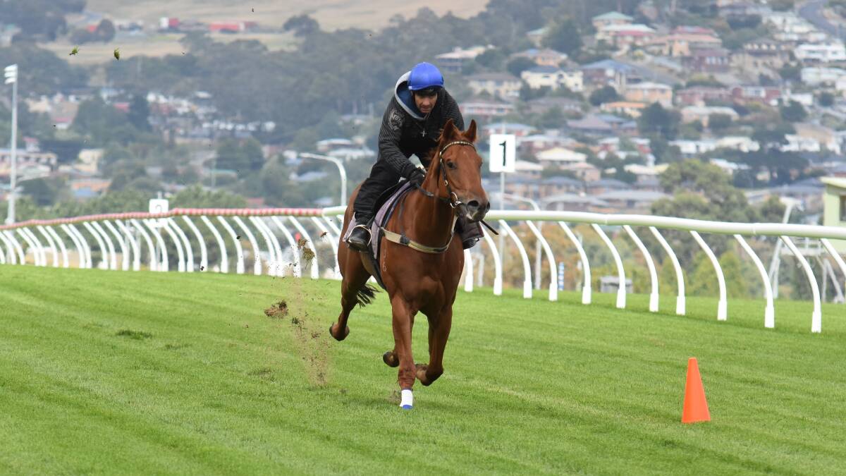 Mandela Effect, ridden by David Pires, gallops on the Elwick track on Tuesday.