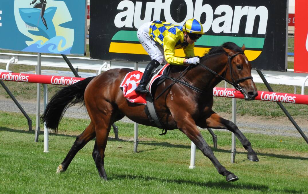 FAMILY: White Hawks' half brother White Cliffs, ridden by Jamie Kah, wins at Mowbray. Picture: Greg Mansfield