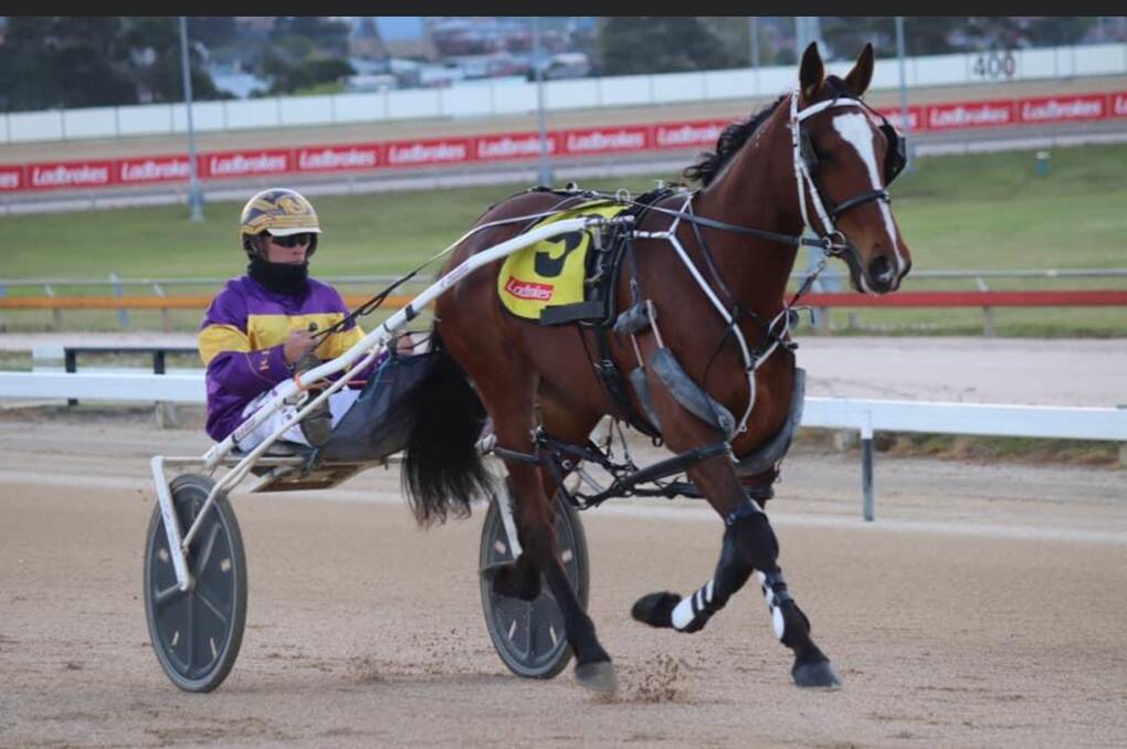 Baby You A Song is out of Wednesday night's $50,000 Evicus final due to injury. Picture: TTC Facebook