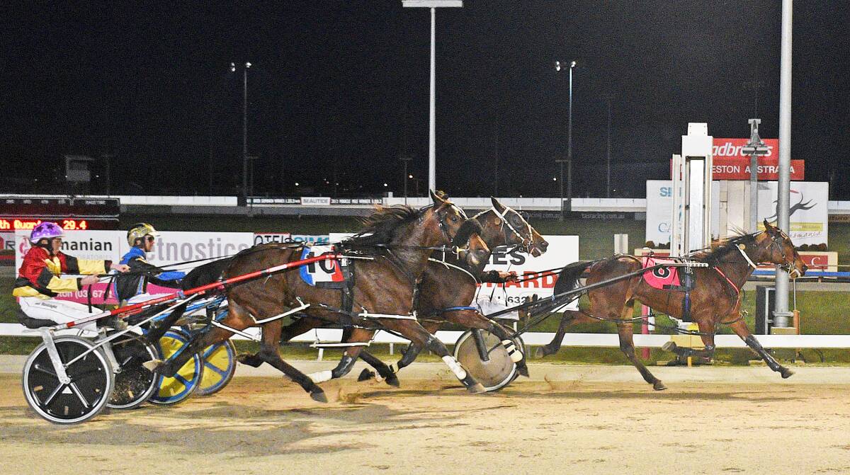 ON TARGET: Shes Gifted, driven by Andrew Thornton, lands a longshot plunge at Mowbray on Sunday night. Picture: Stacey Lear