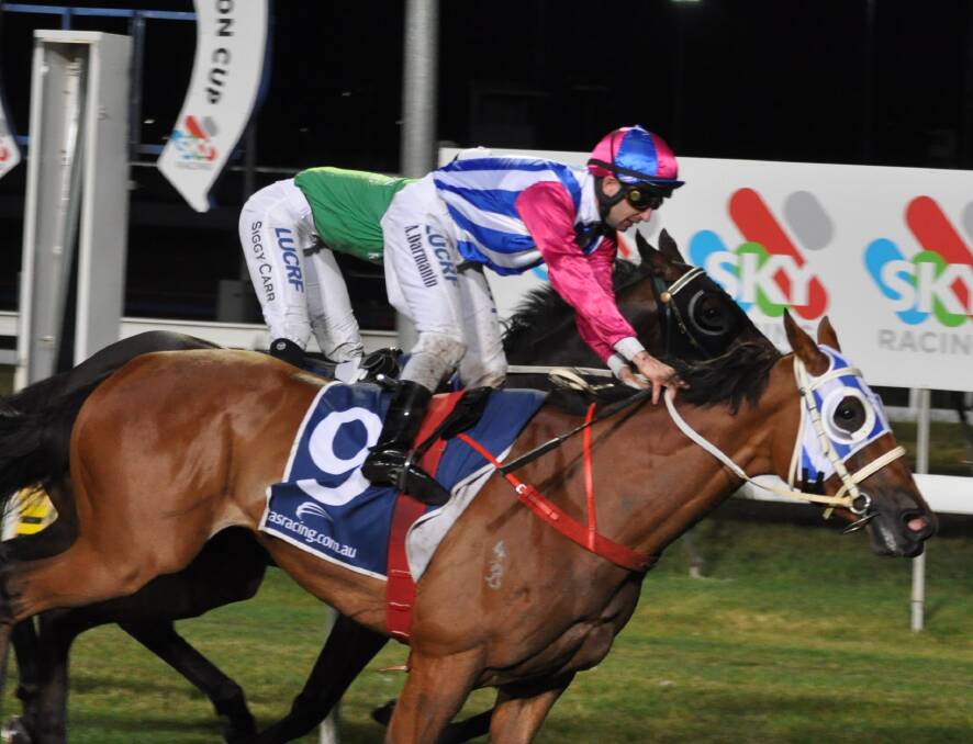 FLICKED: Toorak Affair won the $30,000 Brighton Cup at Mowbray on Saturday night which was to have been shown on Sky 1 but was relegated to Sky 2 after starting late.