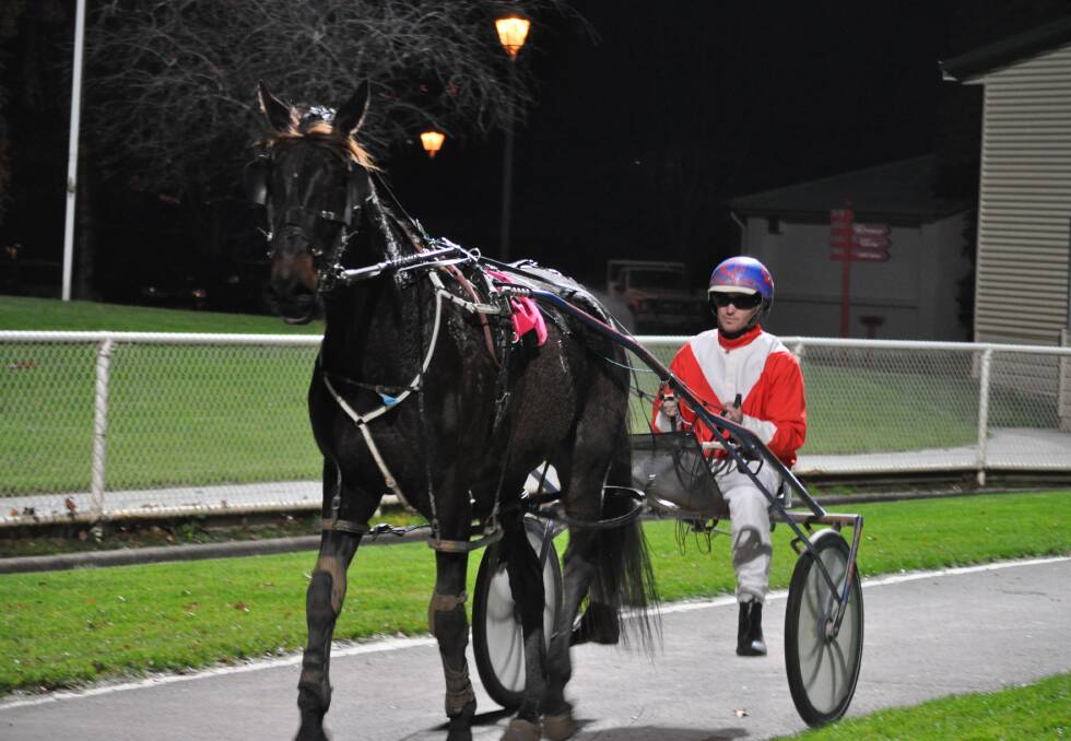 MEDAL LEADER: Halwes Medal leader Todd Rattray with The Bettormack who will be one of his runners in Launceston on Sunday night. Picture: Greg Mansfield