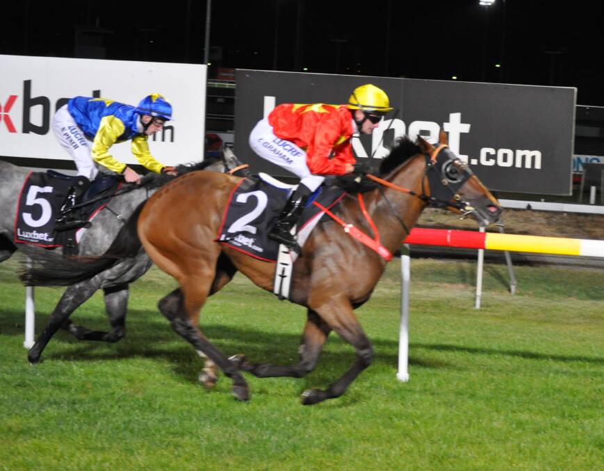 TURNING CORNER: Harvey Bay (Chris Graham) gives trainer Adam Trinder a welcome win at Mowbray a fortnight ago. Picture: Greg Mansfield