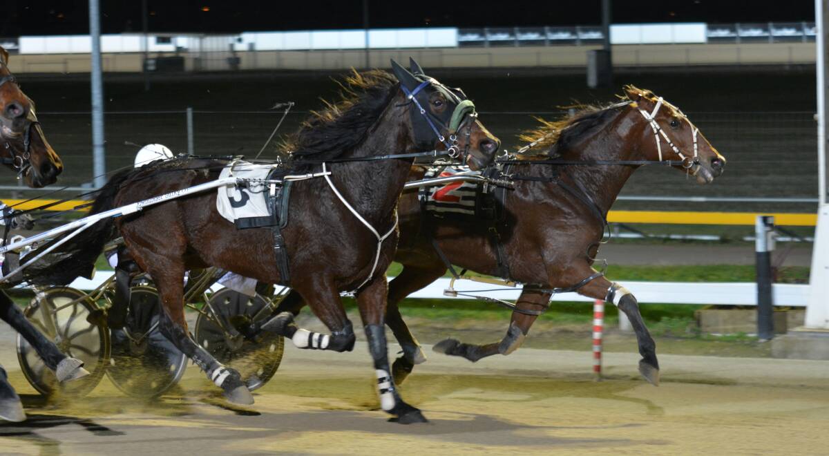 CLOSE FINISH: Ten Caisses (inside) and My Jackofdiamonds fight out the finish of the trot race in Hobart 10 days ago. They clash again with the well-performed Our Summer Vacation at Mowbray on Wednesday night.