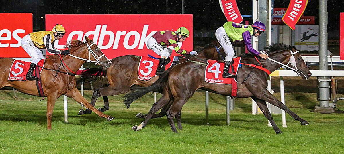RE-MATCH: Gee Gee Josie, ridden by Anthony Darmanin, beats Hot Relation and Entrapped in the Elwick Stakes at Mowbray three weeks ago. They clash again in the $150,000 Gold Sovereign on Wednesday night.