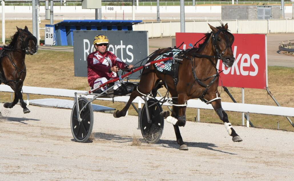 WINNING DEBUT: Yeah Mate, driven by Rohan Hillier, wins the opening two-year-old race of the harness season at Mowbray on Friday night. Picture: Georgia Hayward
