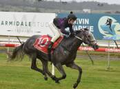 ON TRIAL: Smart mare Romary could be in line for a trip to Melbourne if she returns to winning form at the season-opener in Hobart on Sunday.