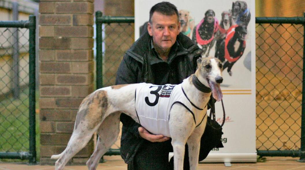 Hello Rhonda, with trainer Robin Grubb, looks well placed to add to her great record at Mowbray on Monday night.