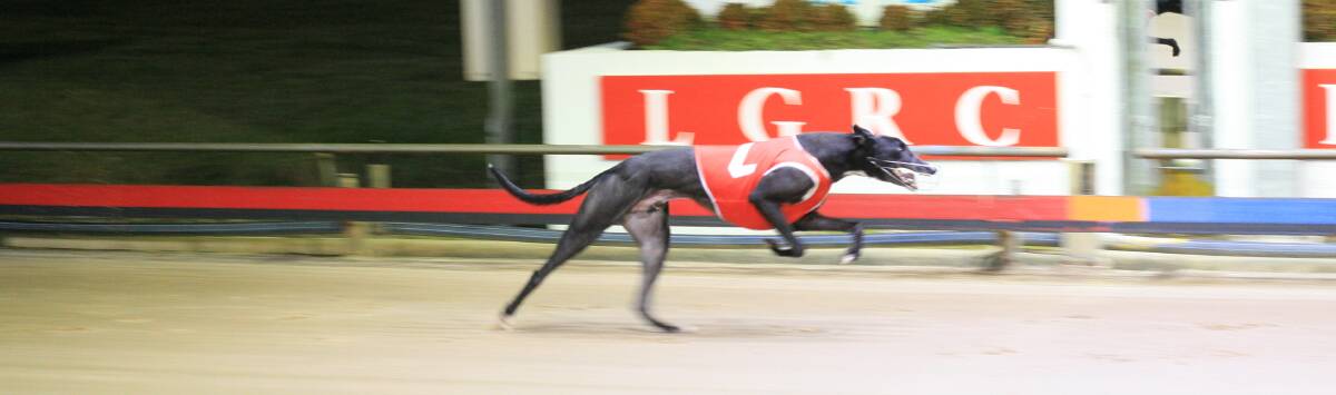 McInerney is a $10 chance for the National Sprint Championship final in Sydney.