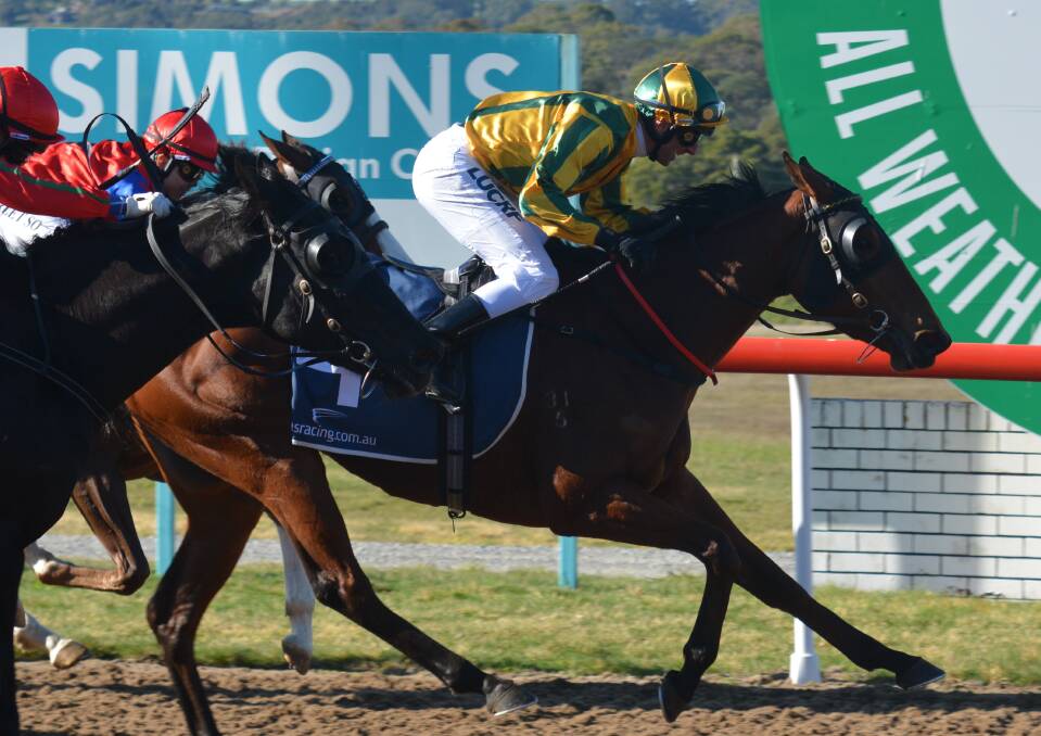 GOOD START: Luna Sky, ridden by Brendon McCoull, wins the opening race at Spreyton on Sunday.