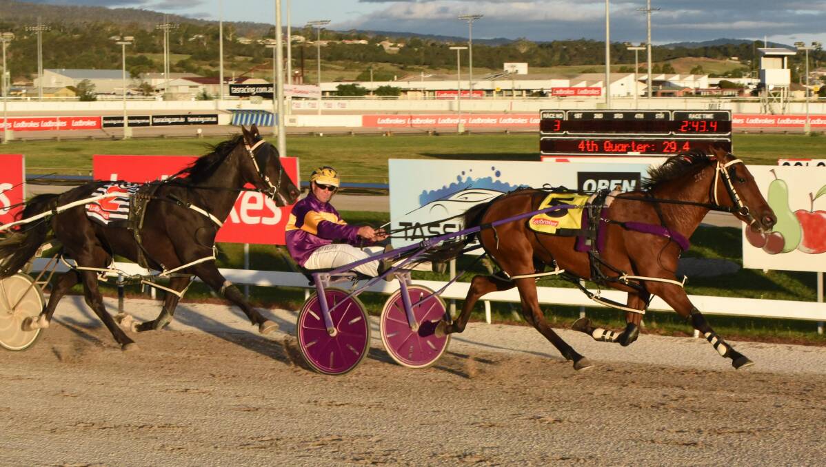 Giftofjoy, driven by Rohan Hillier, wins at Mowbray on Sunday night. 