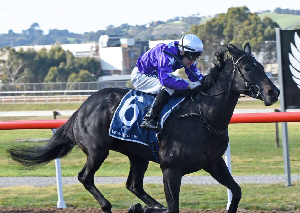 BACK IN WORK: After his preparation was delayed by the coronavirus restrictions, Devonport Cup winner Newhart is back in work and being prepared for a possible Melbourne campaign in August. Picture: Stacey Lear
