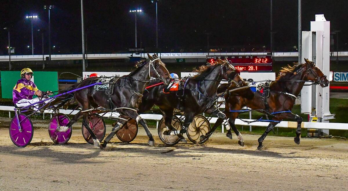 CLOSE: Franco Tristan (inside) just beats Scooterwillrev (centre) and Ryley Major in the Easter Cup at Mowbray. Picture: Scott Gelston.