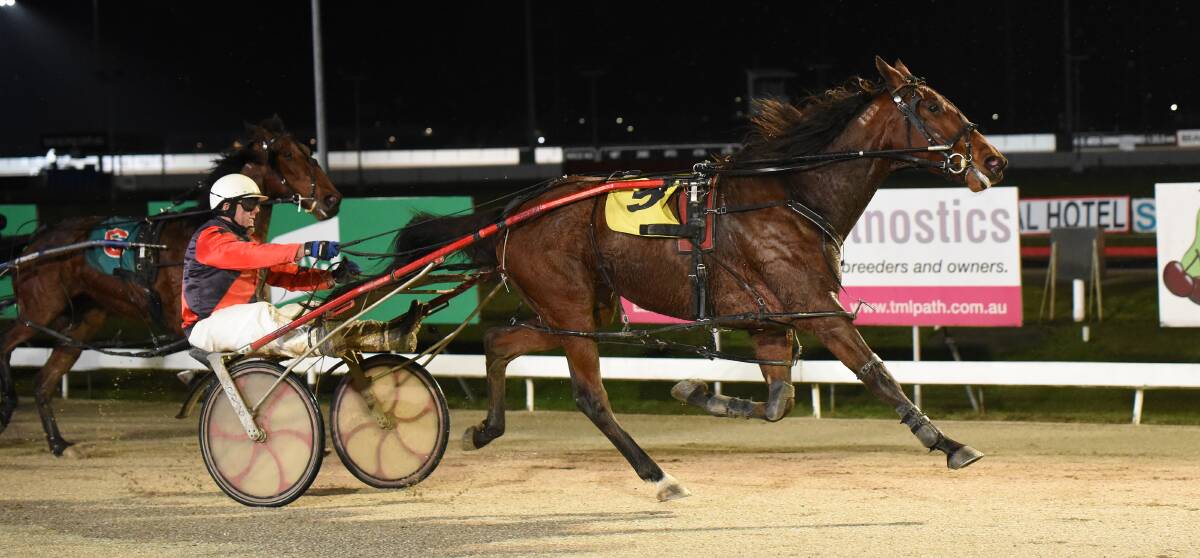 SHINING BRIGHT: Sunny Sanz, driven by John Walters, wins the Globe Derby prelude at Mowbray last week. He is at unbackable odds to take out Sunday night's $50,000 final. Picture: Stacey Lear