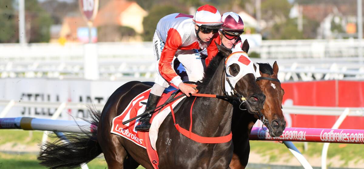 Mystic Journey has produced an outstanding first-up run in Melbourne