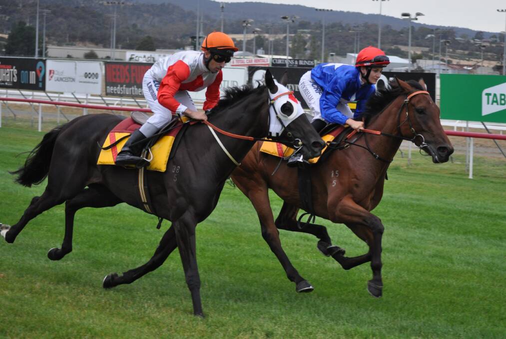 WARMING UP: Mystic Journey, ridden by Anthony Darmanin, works outside Five Star Gal at Mowbray on Wednesday night. Tasmania's star filly will resume at Mowbray next week. Picture: Greg Mansfield