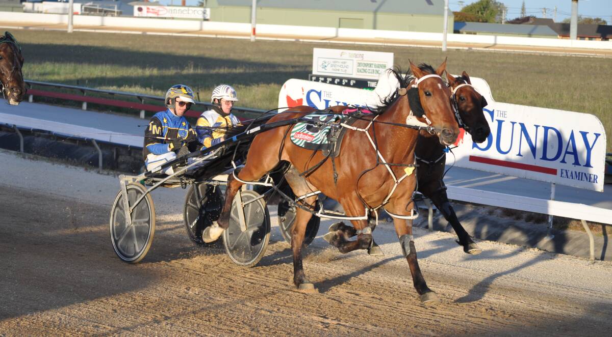 ALL THE WAY: Somedan and driver Troy McDonald, pictured winning at Devonport in November, repeated the performance in Sunday night's Devonport Cup lead-up. Picture: Greg Mansfield