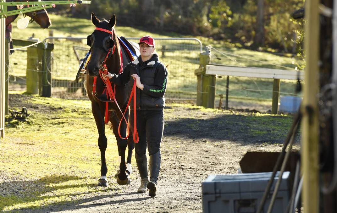 HEADING OFF: Mystic Journey, pictured with strapper Bronte Page, will soon swap the quiet surrounds of Spreyton for an extended stay in Melbourne where she will be based for her spring campaign. Picture: Brodie Weeding