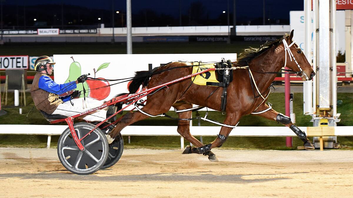RAIDER: Victorian Micton Mouse, driven by Jack Laugher, wins at Mowbray on Sunday night. Picture: Stacey Lear