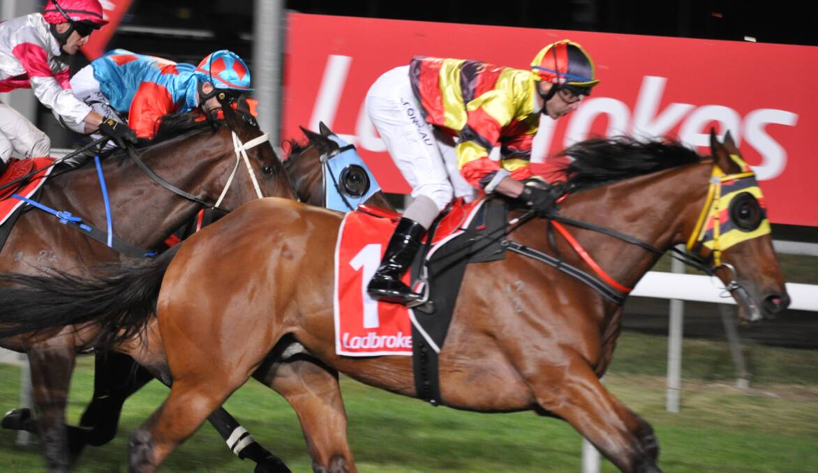 St Leger winner Speed Force has been retired after 12 wins and $215,000 in stake earnings.