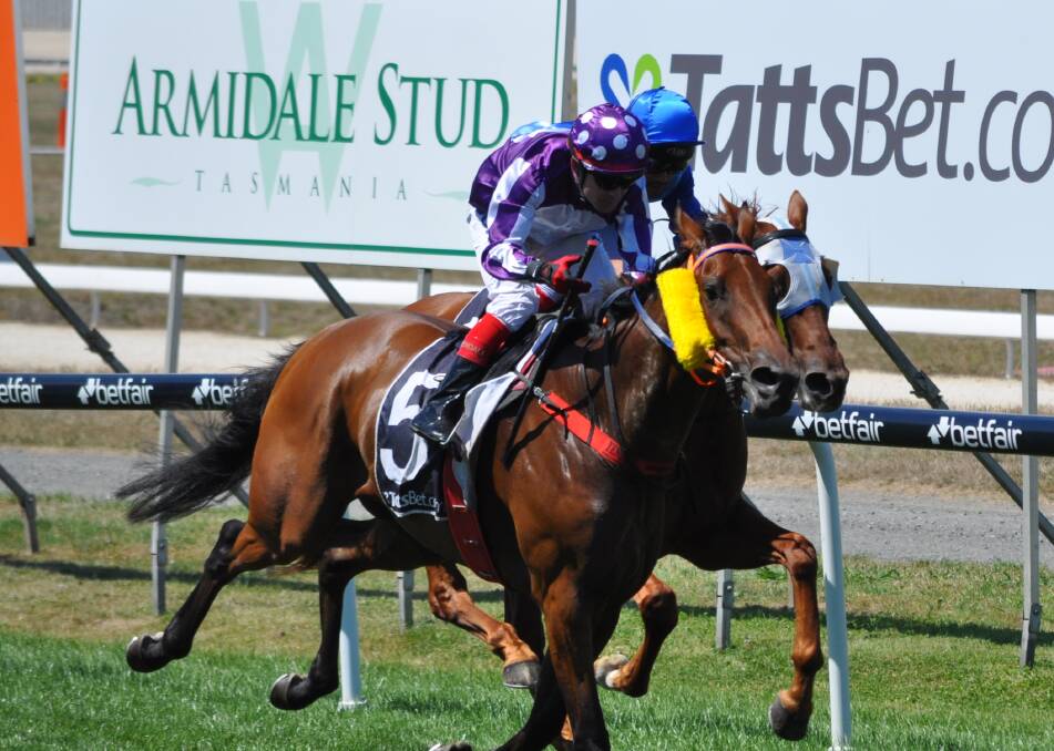 MAKING PROGRESS: Tasmanian stayer Settler's Stone, pictured winning at Mowbray in February, will continue his spring campaign at Flemington on Saturday if he gets a start. Picture: Greg Mansfield 