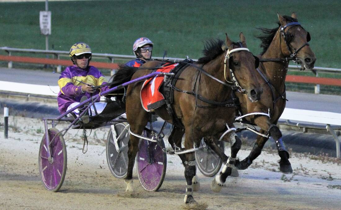 APPLE BOUND: Rohan Hillier will take his smart pacer Lip Reader back to Devonport on Friday night as a lead-up to the Golden Apple at Mowbray. Picture: Brad Cole