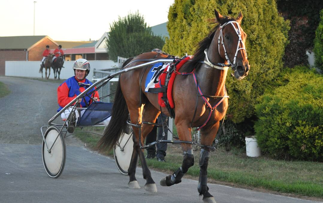 CUP HOPE: Sea Double Ugrant with Gareth Rattray in the sulky. Regular driver Mark Yole will reunite with the horse in Saturday's Carrick Cup. Picture: Greg Mansfield