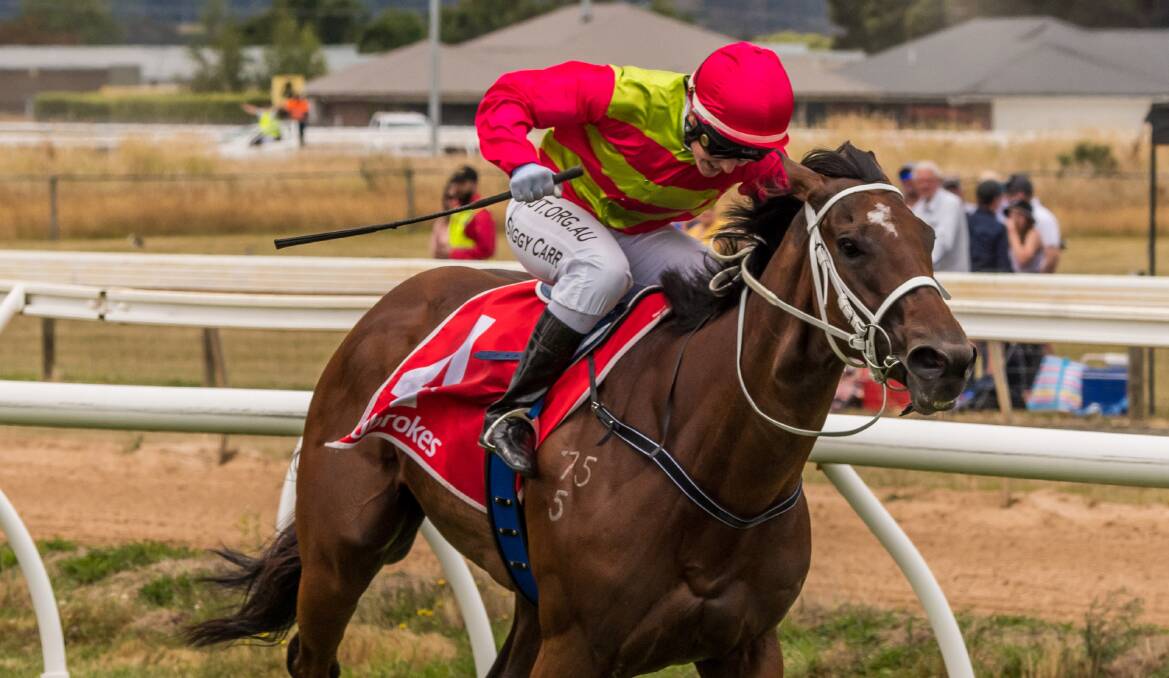 Hannah's Song completes a hat-trick of wins in the Armidale Stud Handicap for trainer-jockey Siggy Carr.