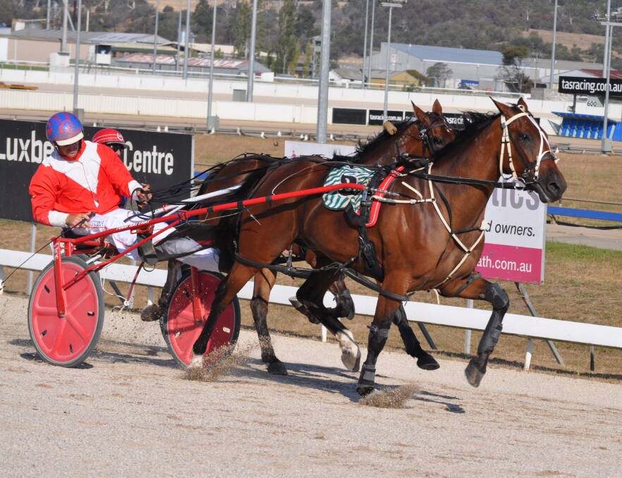 THE BEST: Ignatius, pictured winning at Mowbray with Todd Rattray in the sulky, has been named Tasmania's harness horse of the year for 2017-18.