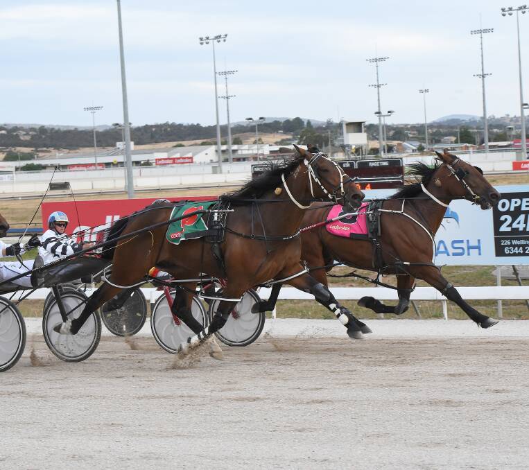 APPEAL BOOST: Outsider Artiflash, driven by Troy McDonald and trained by Ben Yole, adds $100 to the bush fires appeal with a win at Mowbray on Sunday night. Picture: Stacey Lear