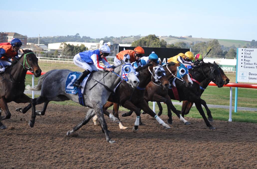 CLOSE CALL: Five horses were stretched across the track at the finish of the sixth race at Spreyton on Sunday. Magwitch (No. 2) dead-heated with Robbo The Bold (orange colours). Picture: Greg Mansfield