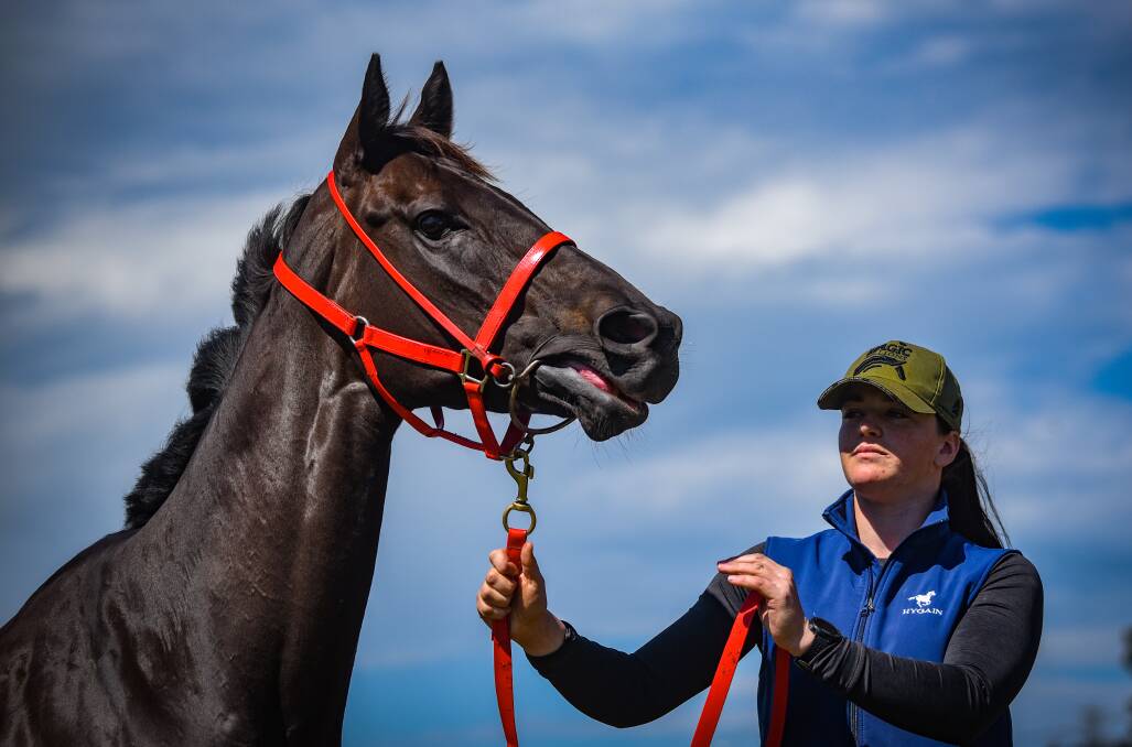 SHE'S BACK; Mystic Journey, pictured at Spreyton with strapper Bronte Page, returns to racing at Mowbray on Wednesday night as she heads towards the $5 million All-Star Mile in March. Picture: Paul Scambler