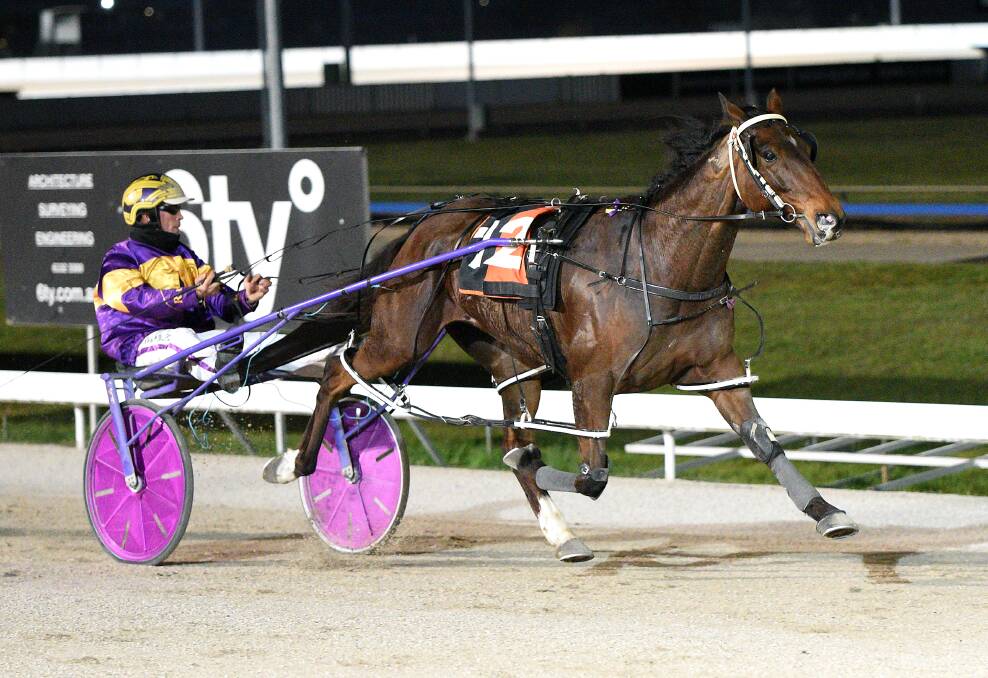 Ryley Major returns from a spell in a star-studded race in Hobart on Sunday night. Picture: Stacey Lear