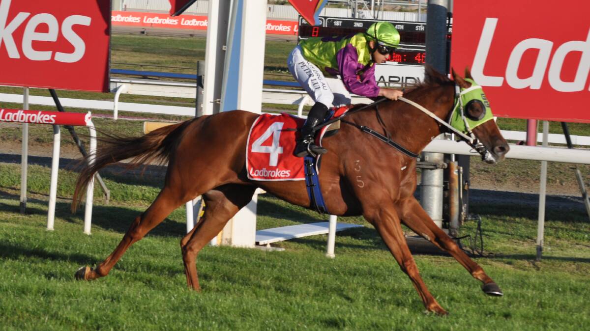 RETURN TO ACTION: Gee Gee Pengala and apprentice Peter Lui win at Mowbray shortly before Tasmanian racing was shut down. The horse is one of six owned by Paul Geard due to trial at Longford on Tuesday. 